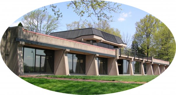 Falconry event at Grundy Library