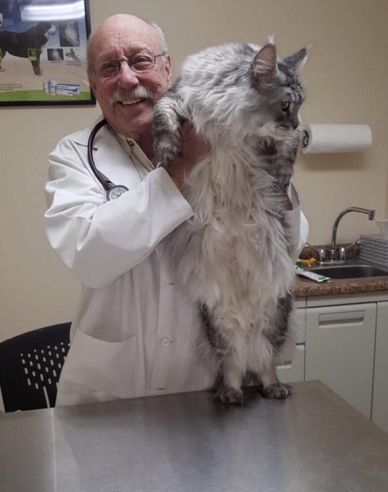 Local veterinarian turns 85, still helping pets