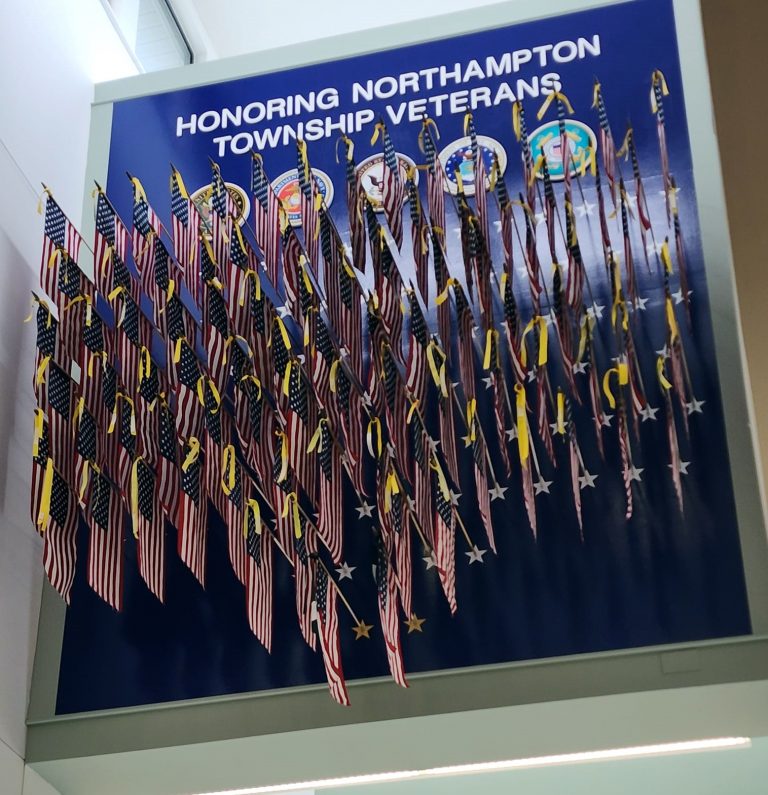 Northampton military flag display gets new home at library