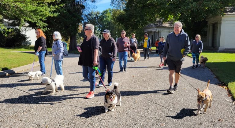 Woof, Wag + Walk set for June 4