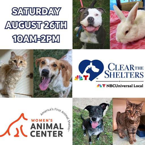 Clear the Shelters Day