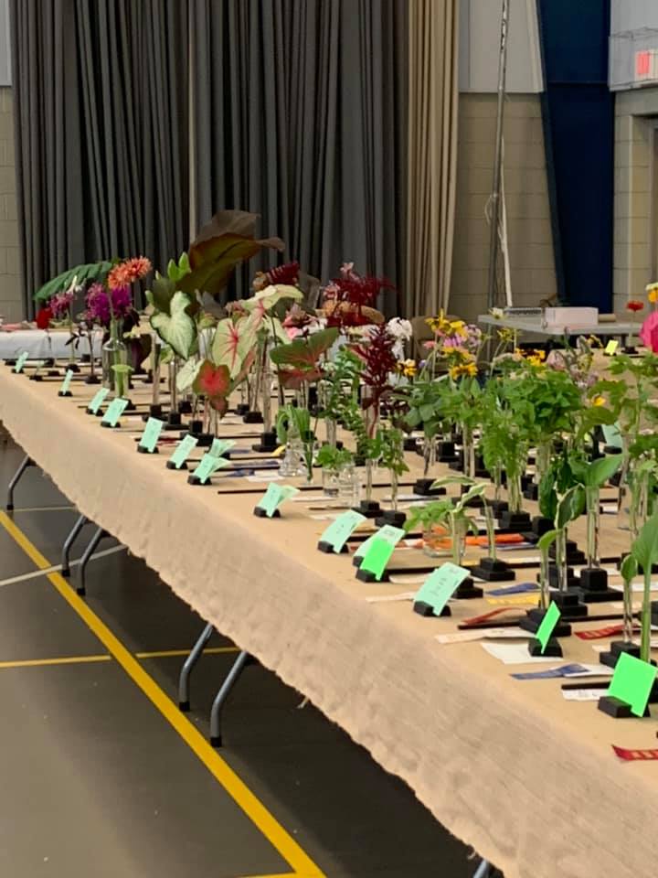 Trevose Horticultural Society monthly meeting