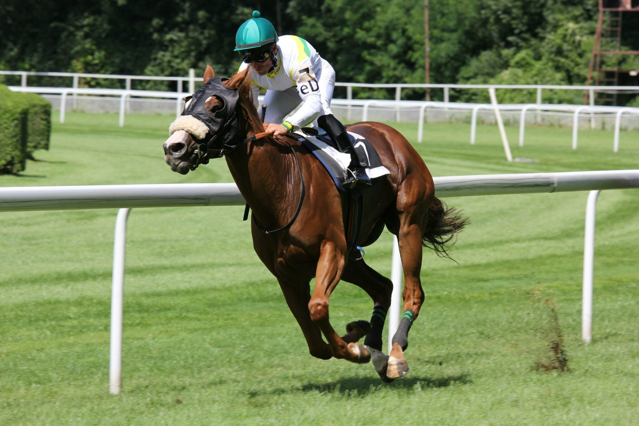 .65 million Pennsylvania Derby Day at Parx Racing set for Saturday 